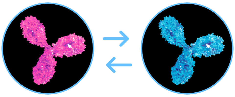 interchangeability molecules